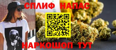 индика Дубна