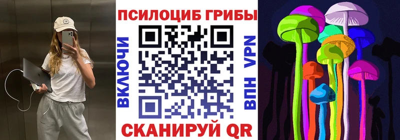 Галлюциногенные грибы Magic Shrooms наркота ОМГ ОМГ зеркало Северобайкальск